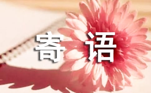 ɳļ